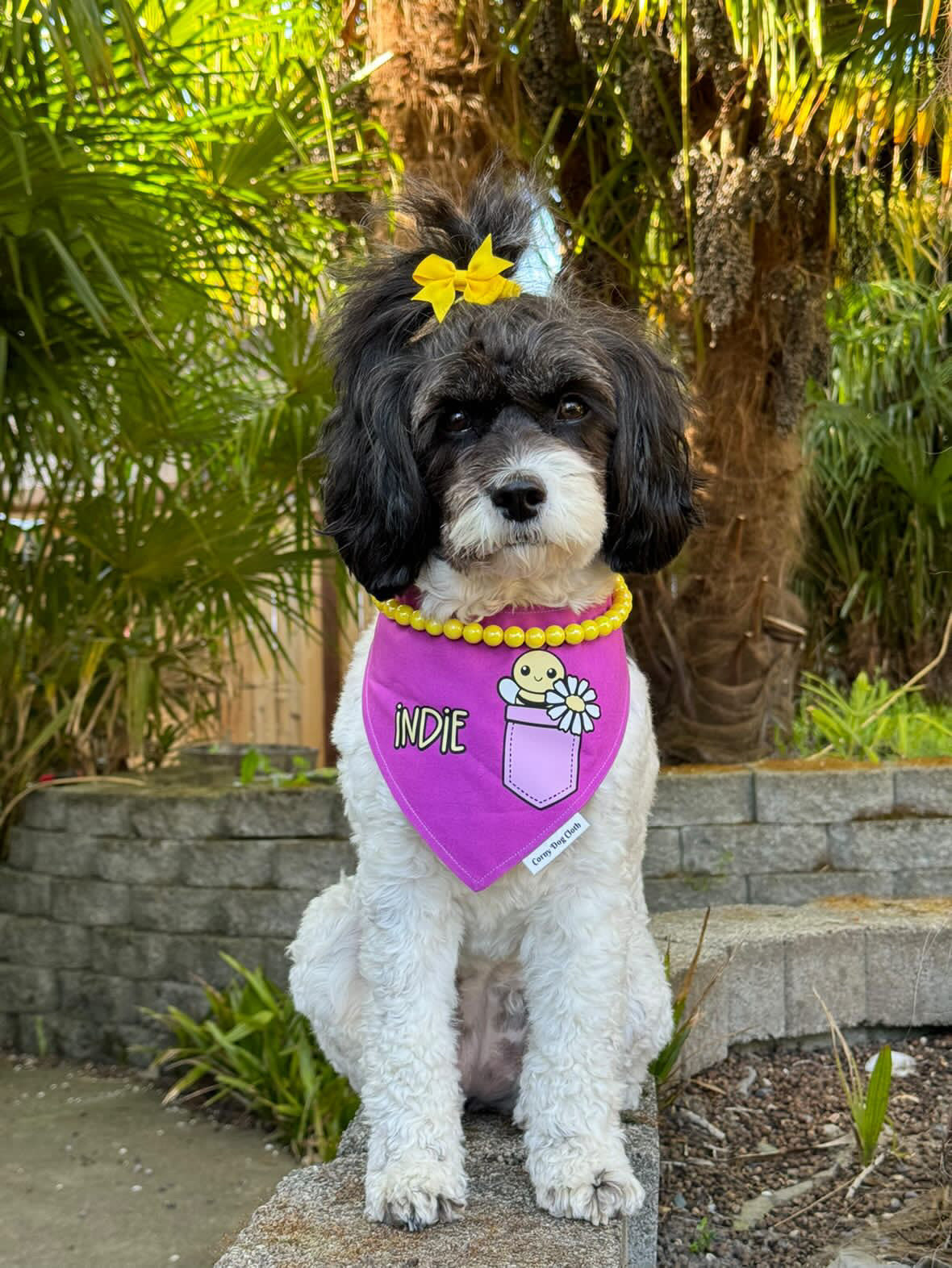 Pup Pocket Personalized Maroon Pink Bandana