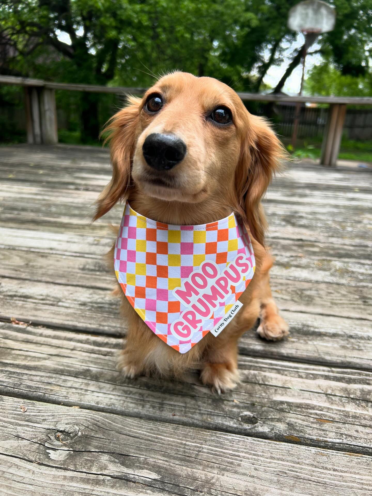 Checkers not Chess Custom Bandana