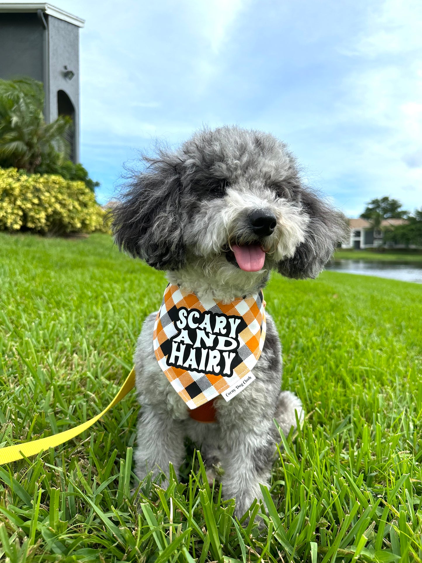 Scary and Hairy Orange Bandana