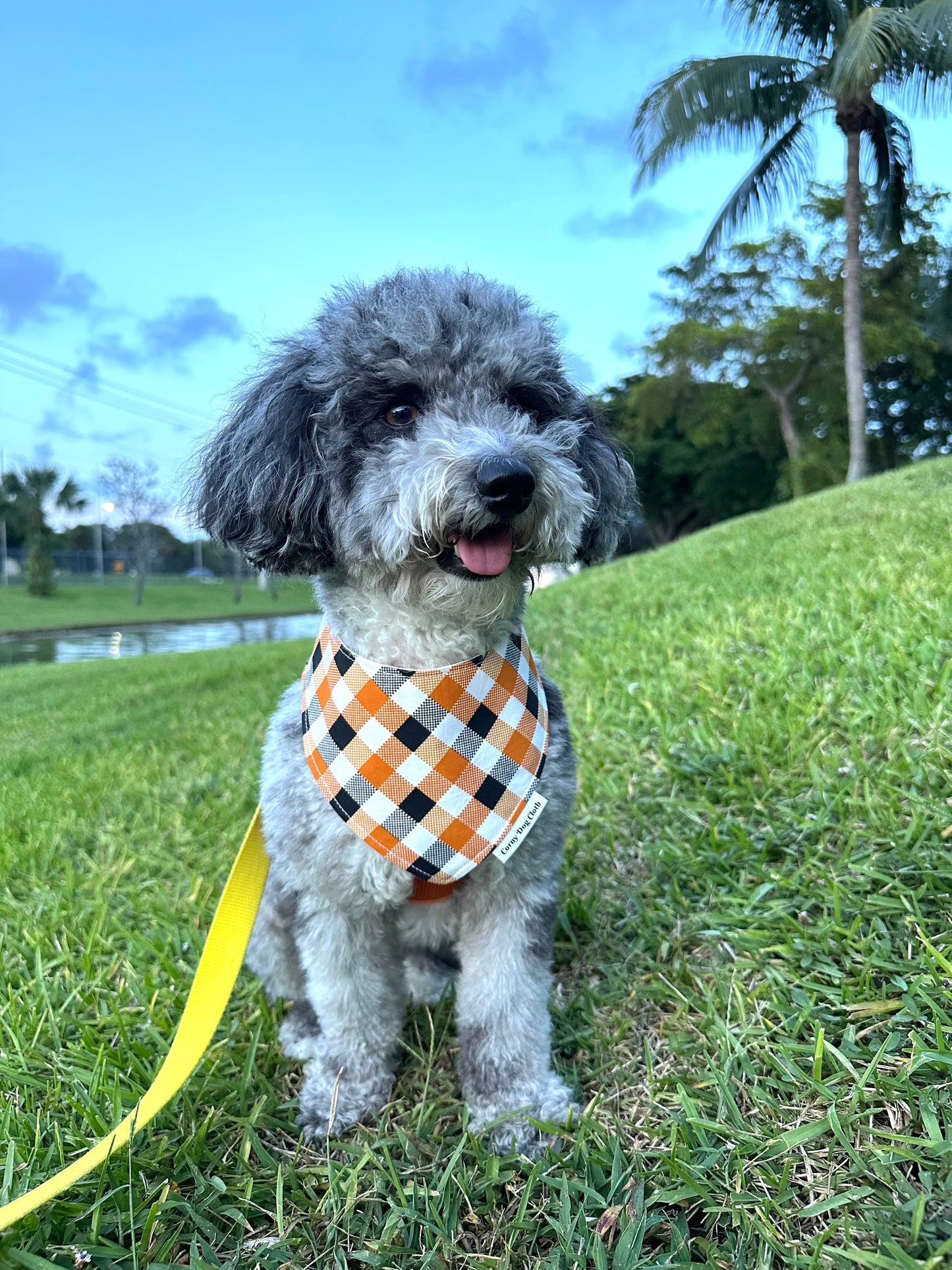 Checkered Pup Orange Custom Bandana