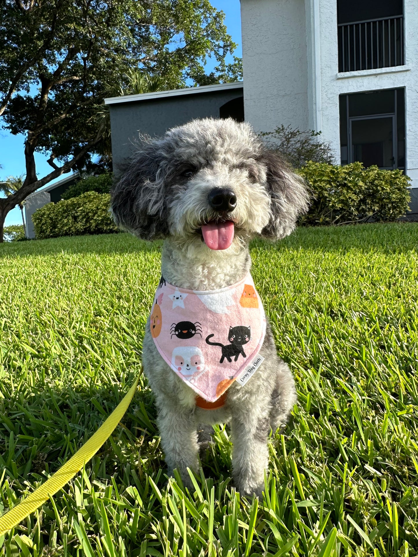 Spooktacular Pink Flannel Custom Bandana