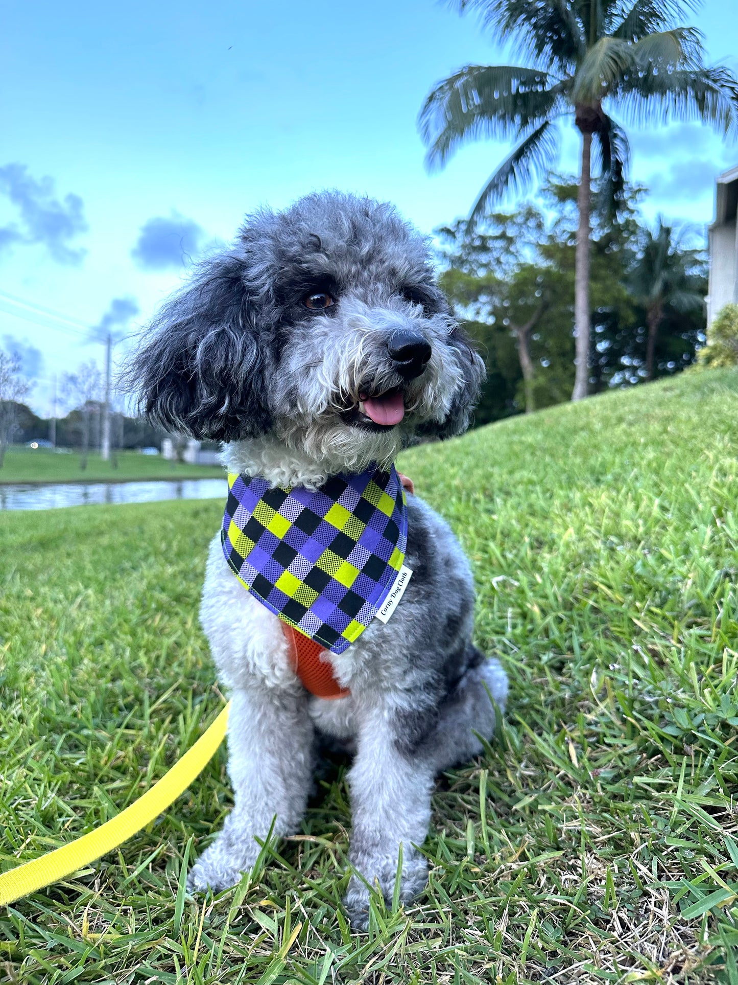 Checkered Pup Purple Custom Bandana