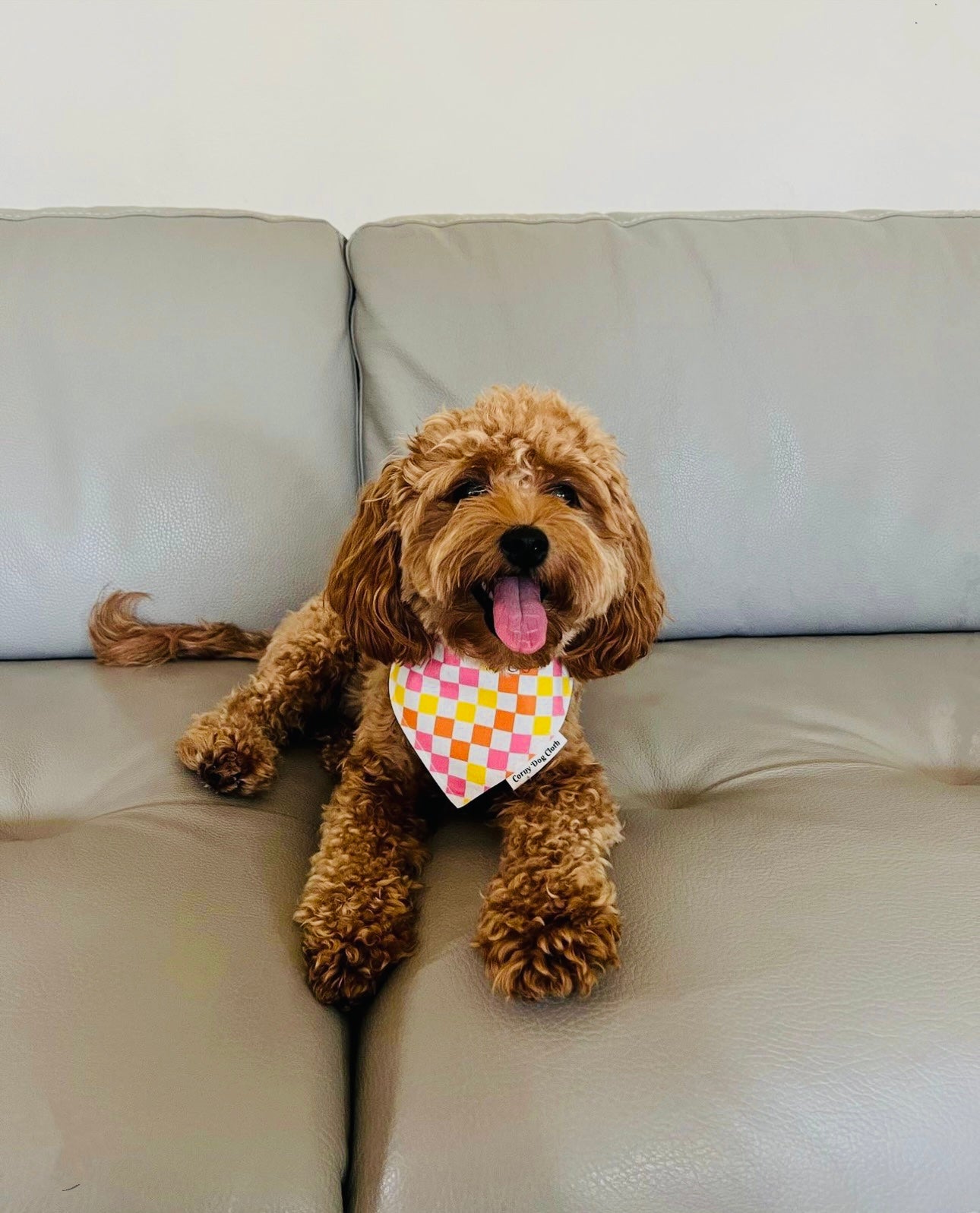 Checkers not Chess Custom Bandana