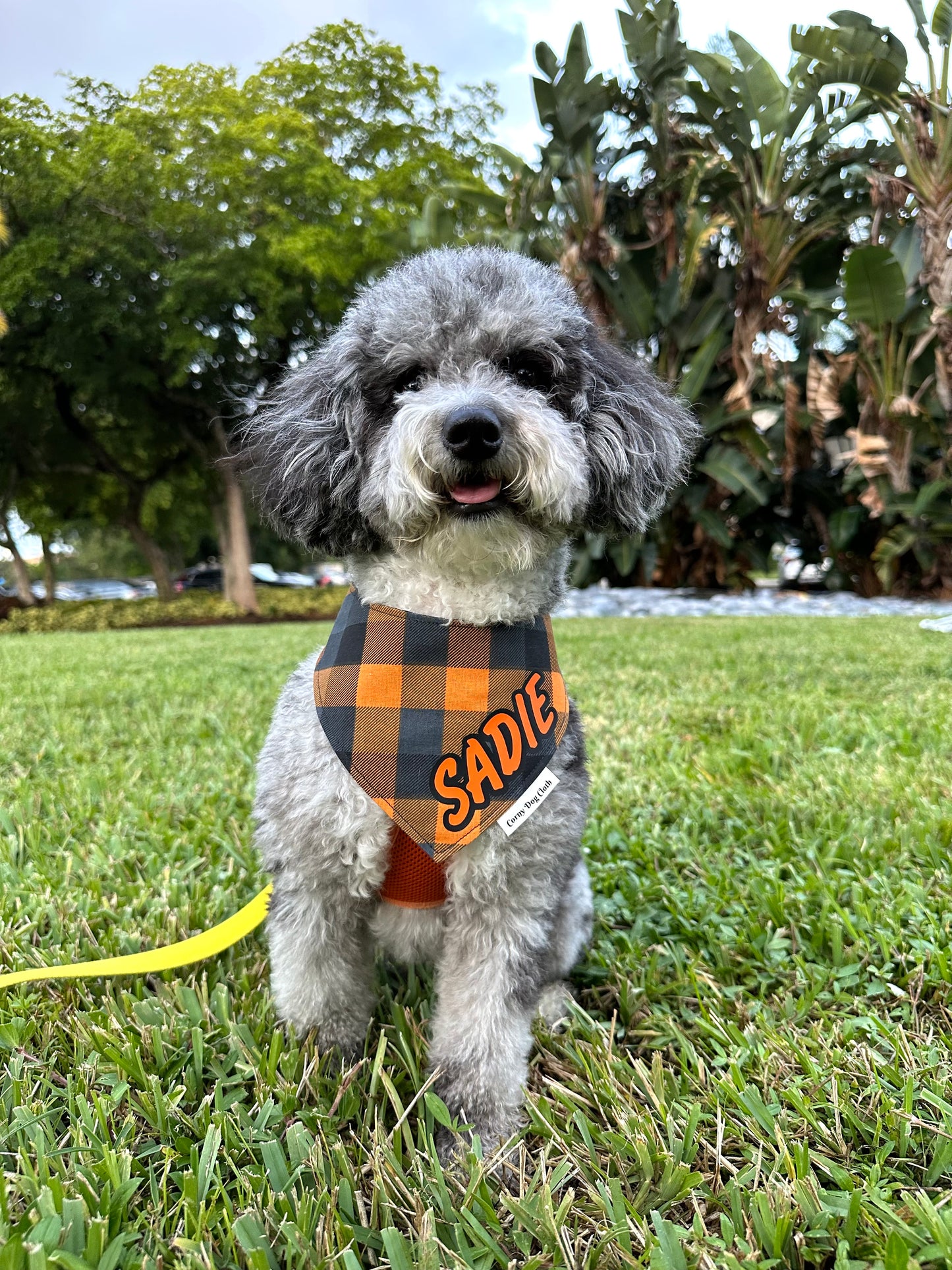 Plaid Orange and Midnight Custom Bandana