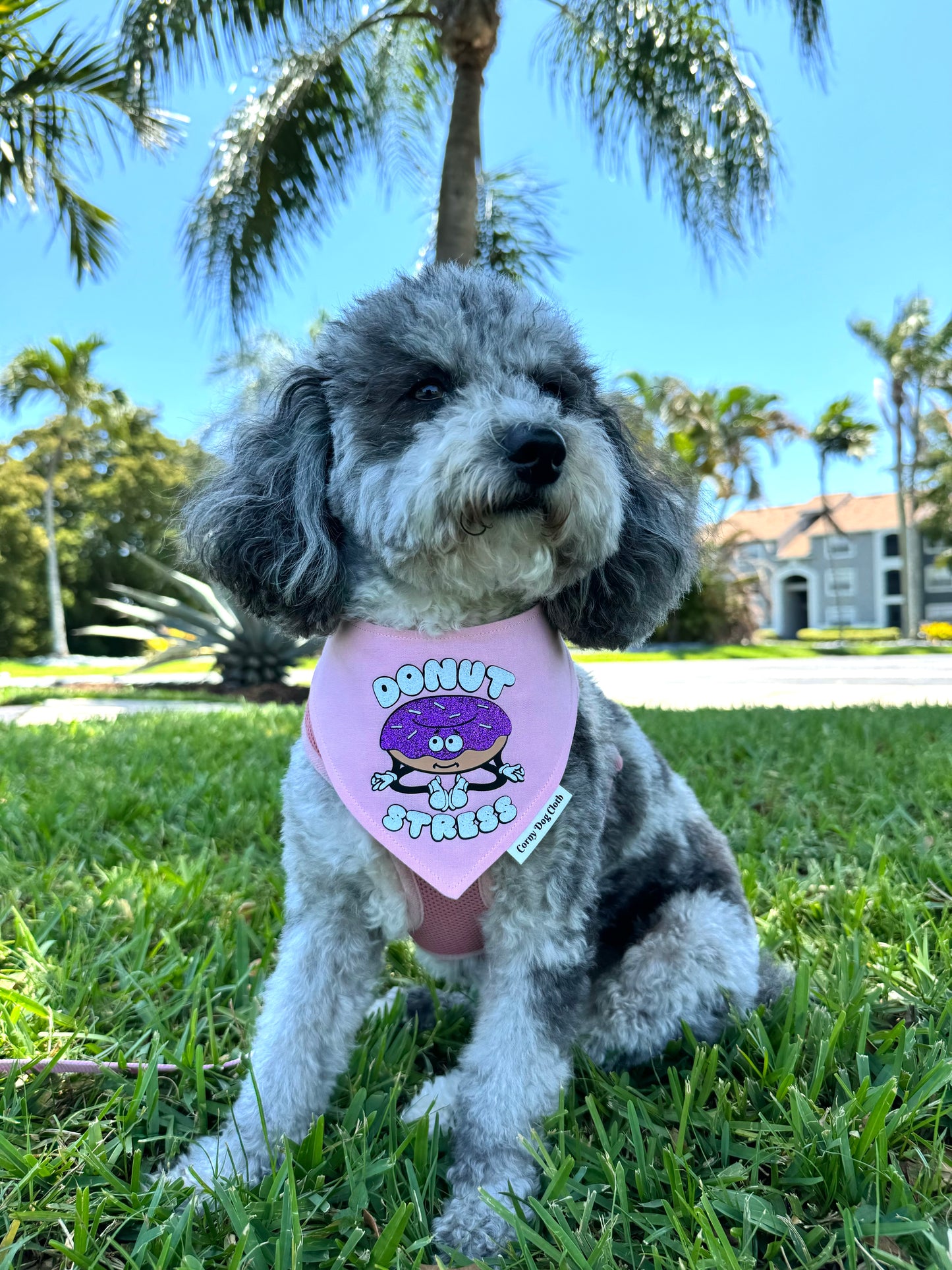 Donut Stress Light Pink Bandana