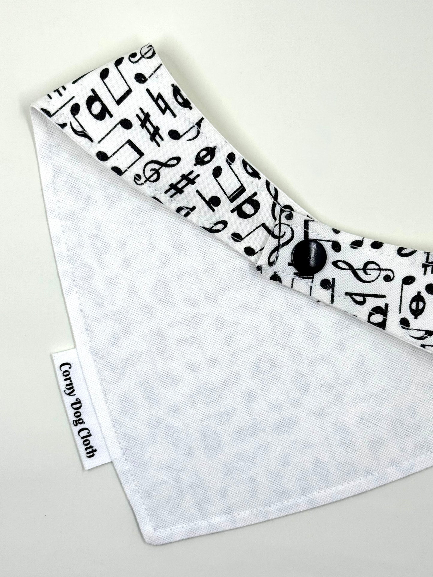 Lead Vocalist Bandana