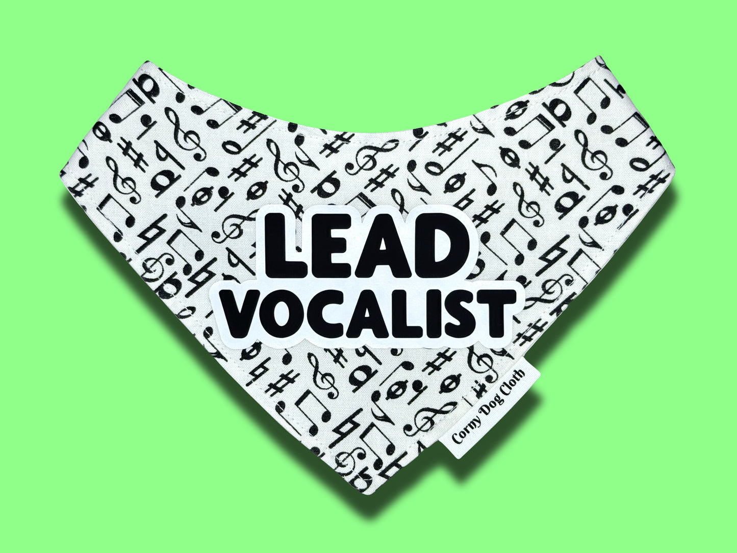 Lead Vocalist Bandana
