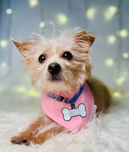 Dog Tag Personalized Light Pink Bandana
