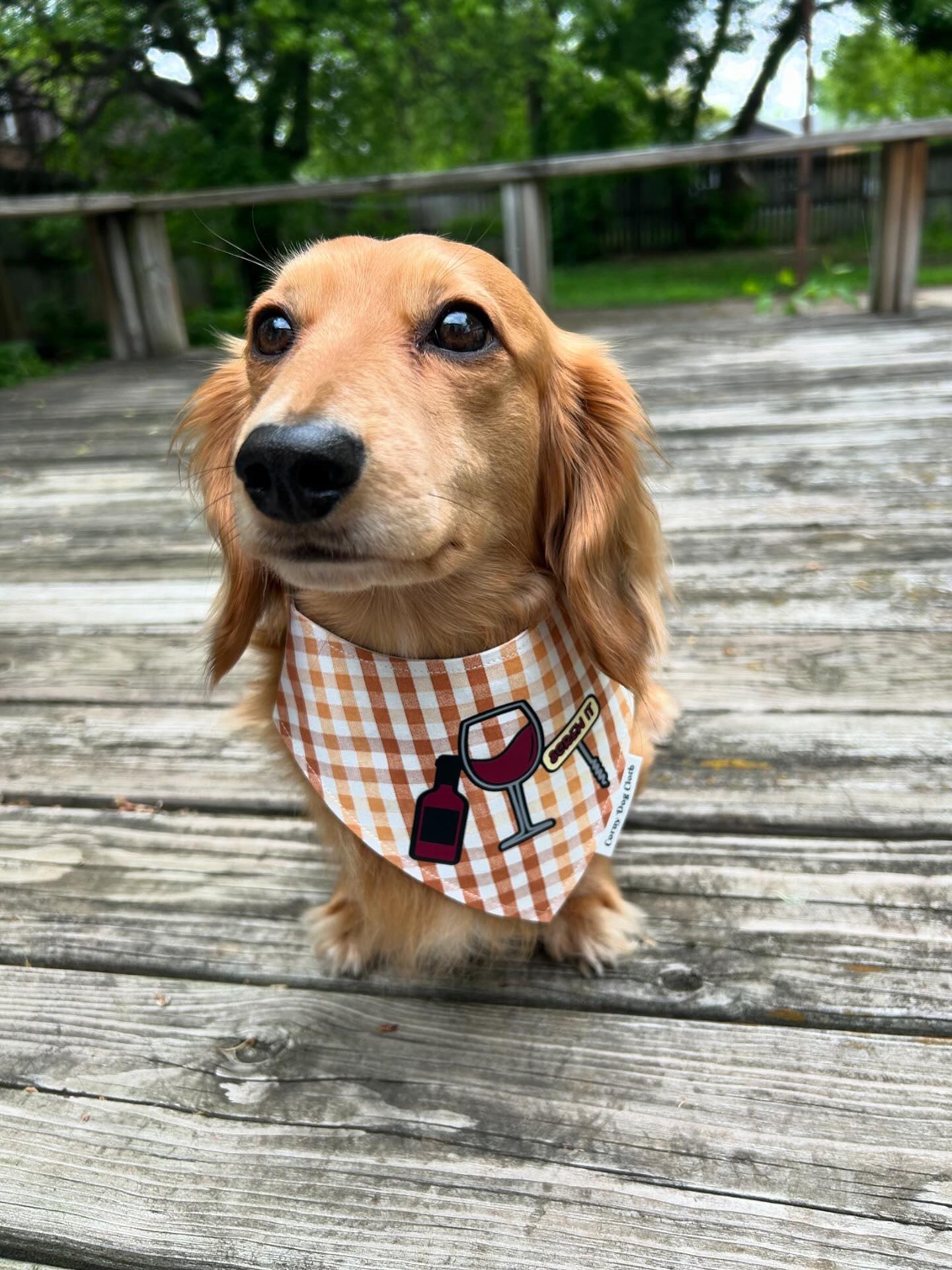 Screw It Plaid Bandana