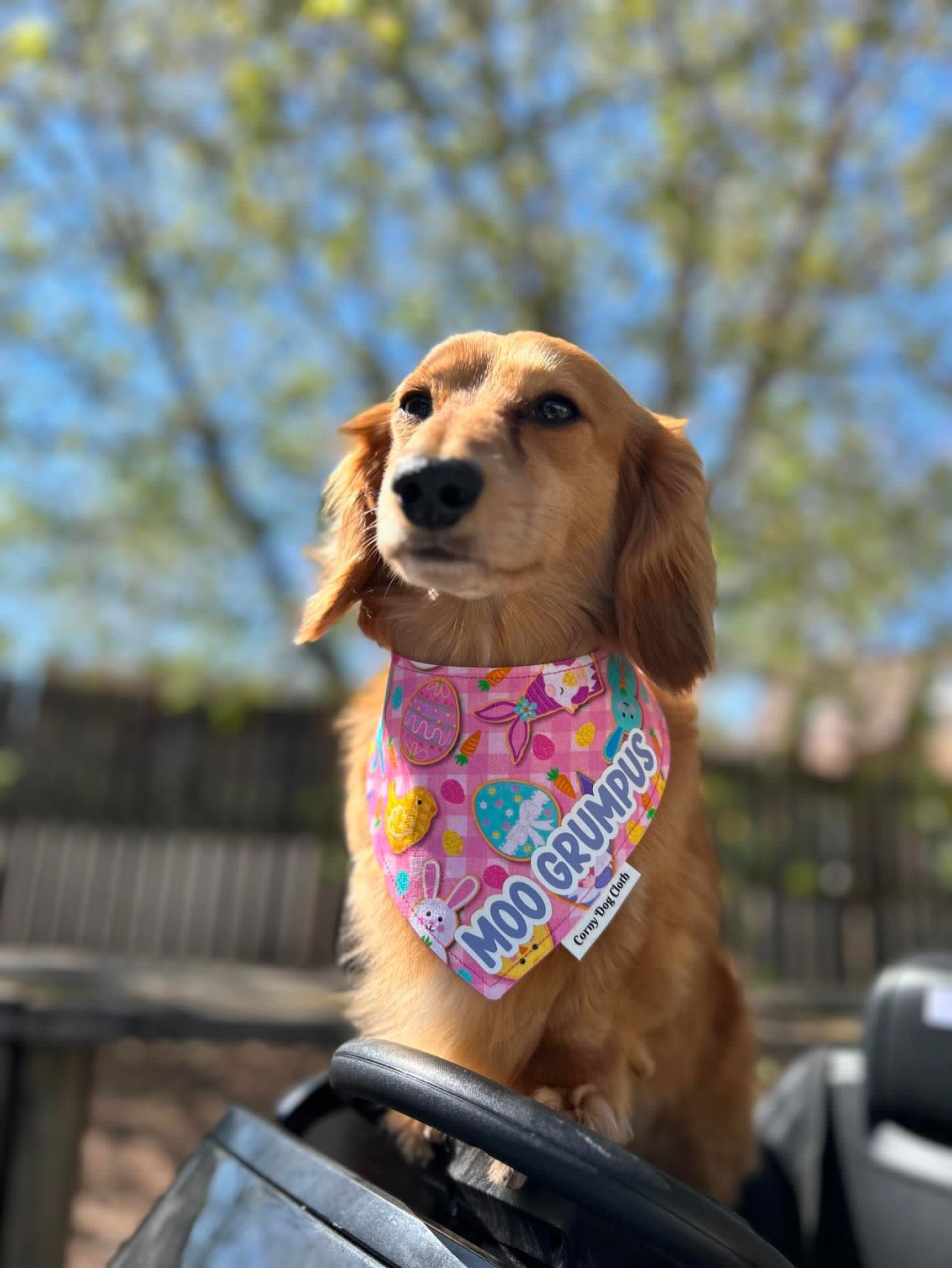 Fur Your Easter Licks Custom Bandana