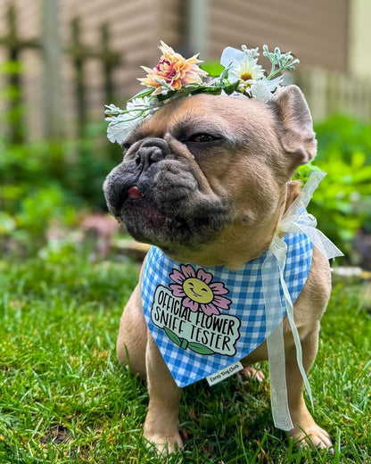Official Flower Sniff Tester Blue Bandana