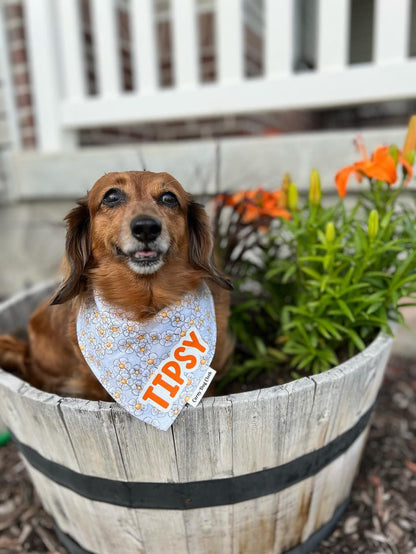 Daisy Days Custom Bandana