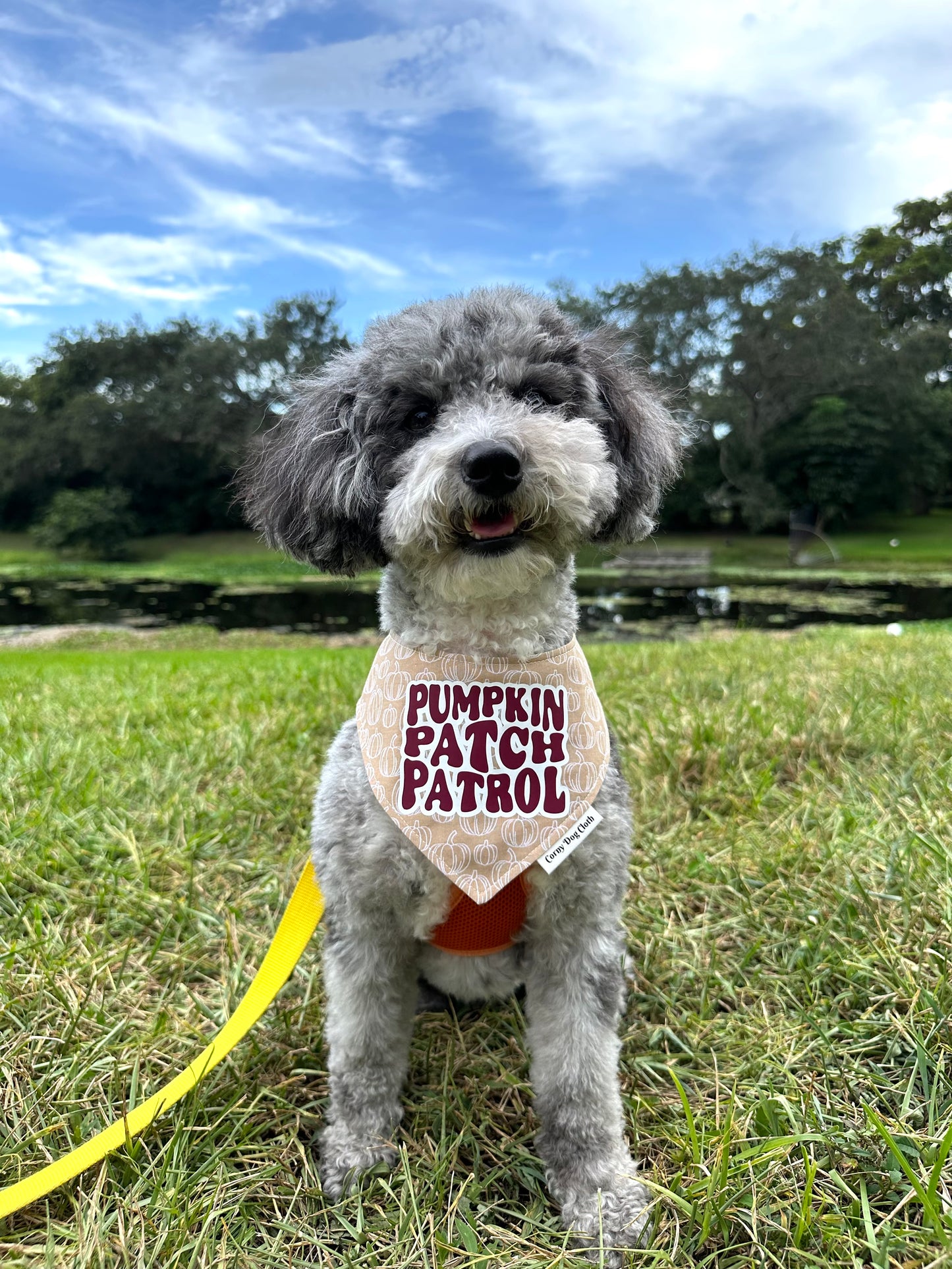 Pumpkin Patch Patrol Bandana