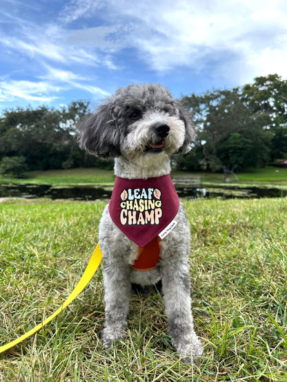 Leaf Chasing Champ Maroon Bandana