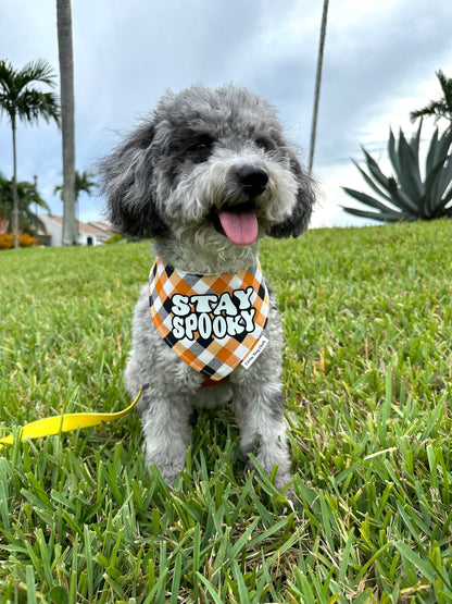 Stay Spooky Orange Bandana