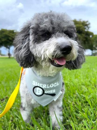 Sherlock Bones Gray Bandana