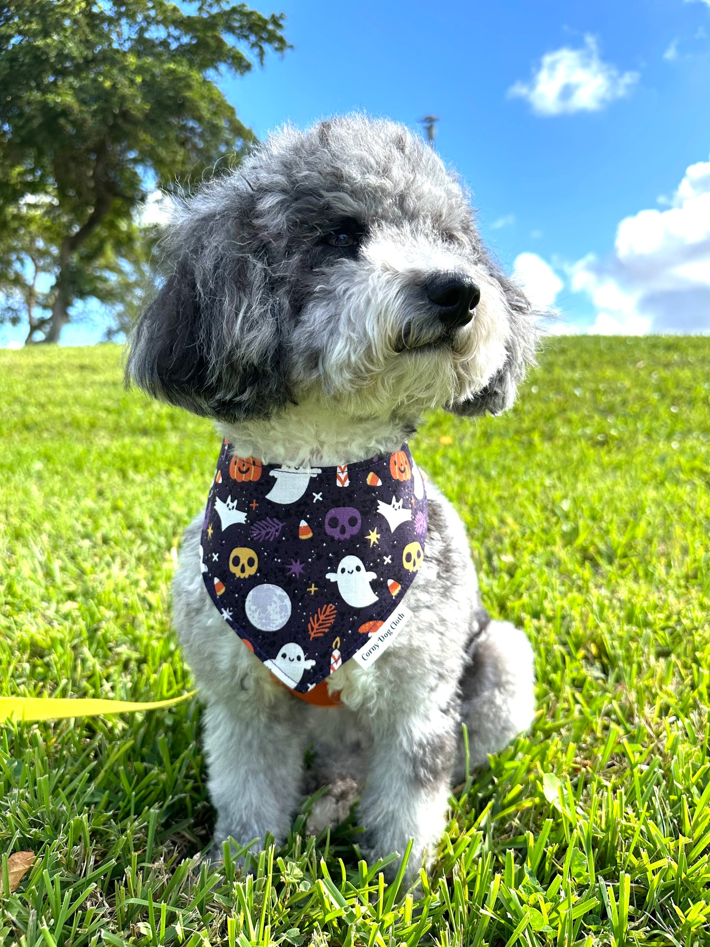 Hallowoof Custom Bandana