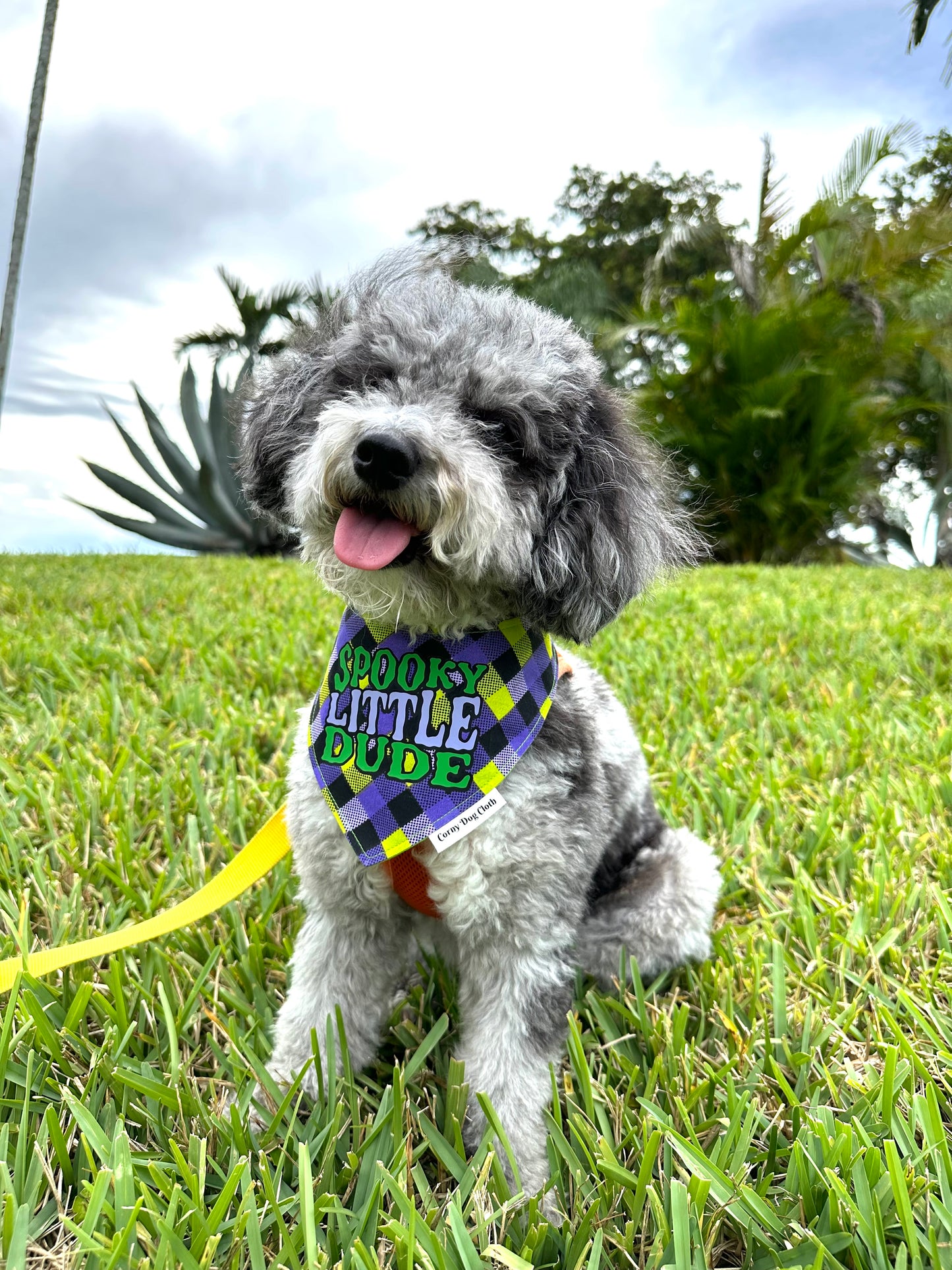 Spooky Little Dude Bandana