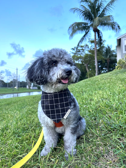 Webbed Wonder Custom Bandana
