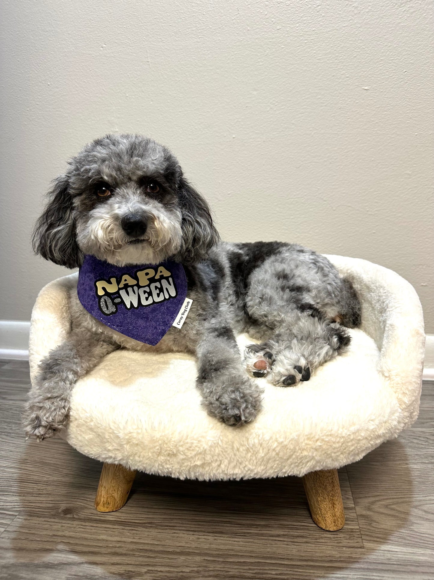 Napa Q-Ween Purple Bandana