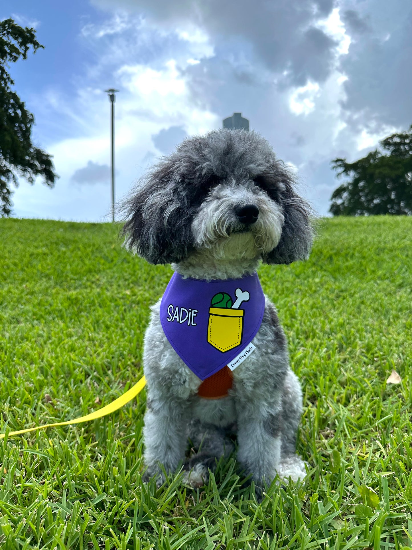 Pup Pocket Personalized Purple Bandana