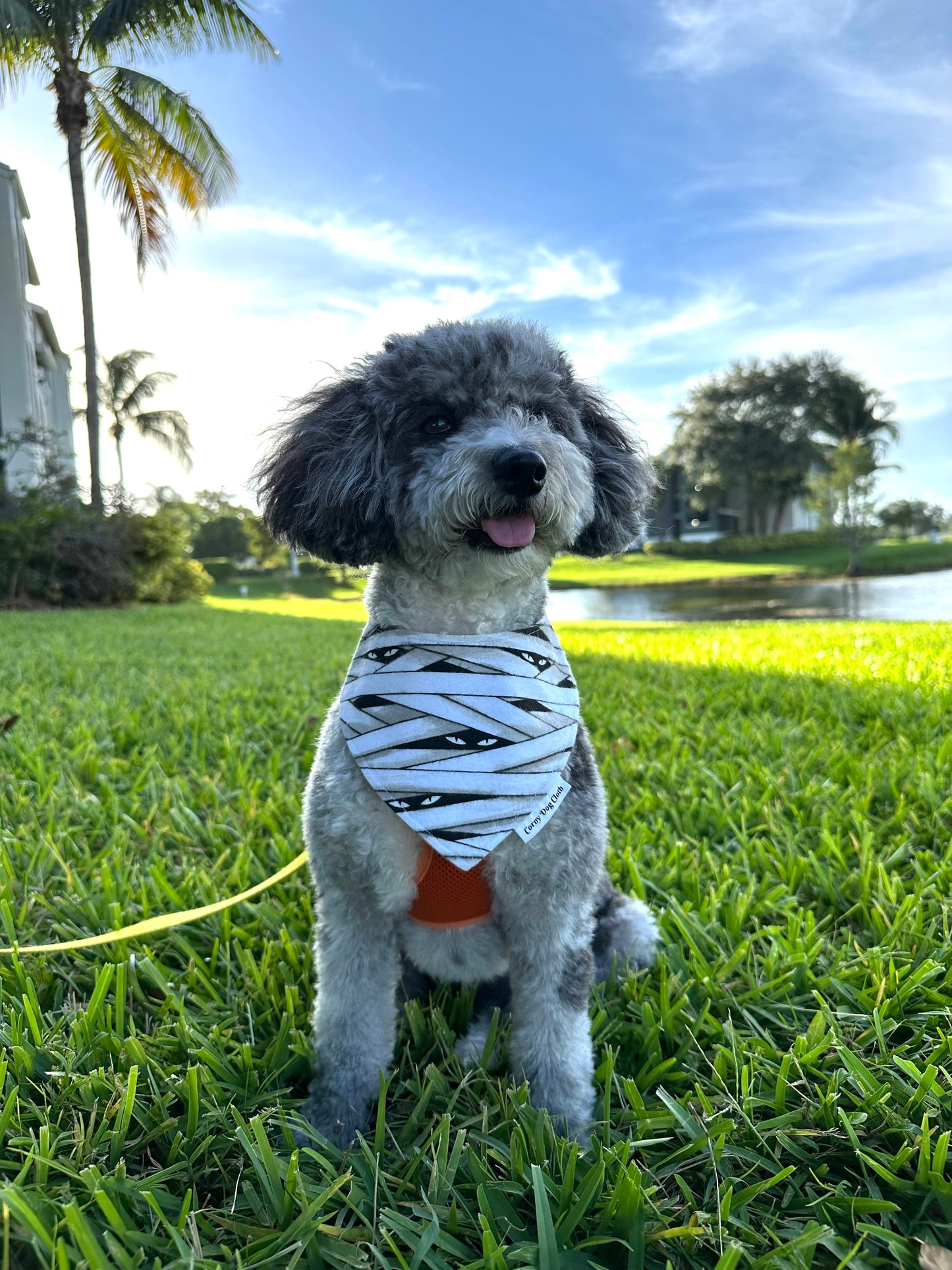 Mummy's Little Monster Glow in the Dark Flannel Custom Bandana