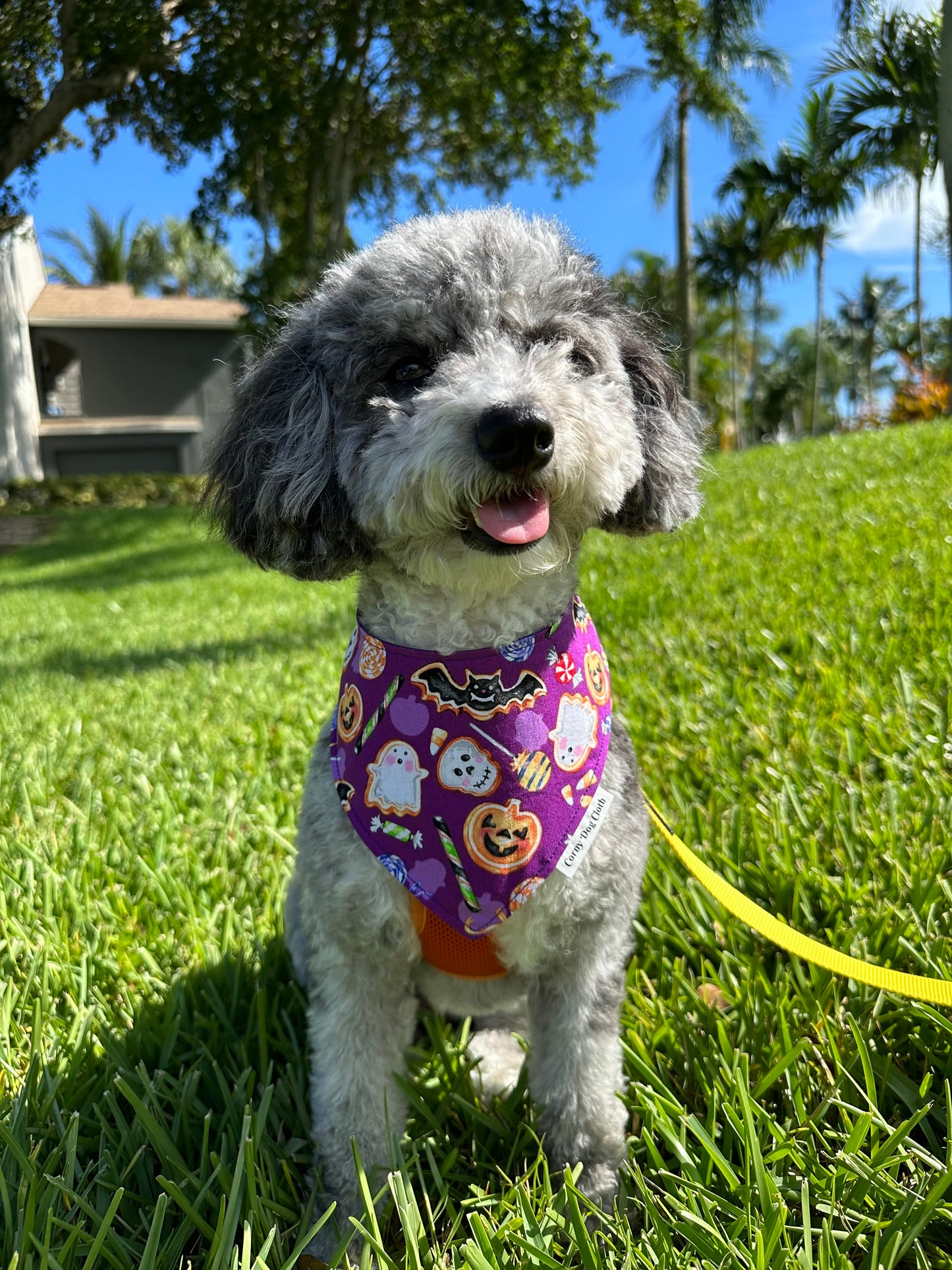 Wickedly Purple Custom Bandana