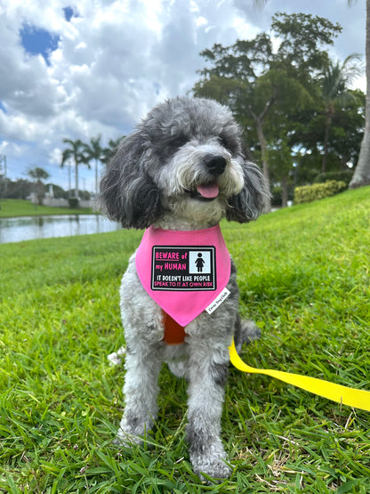 Beware of My Human Pink Bandana