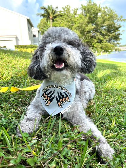 Werewolf in Training Gray Bandana