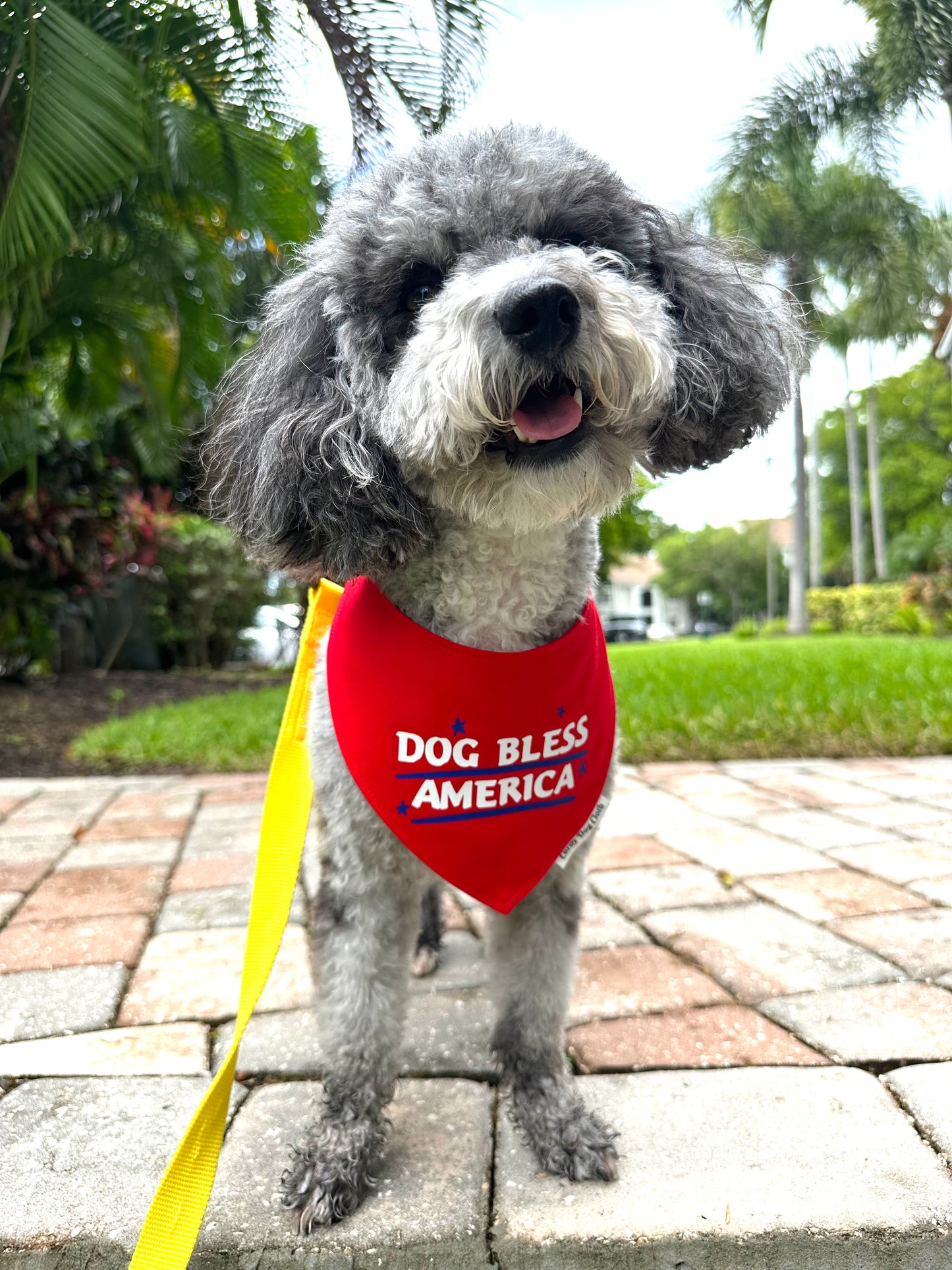 Dog Bless America Red Bandana