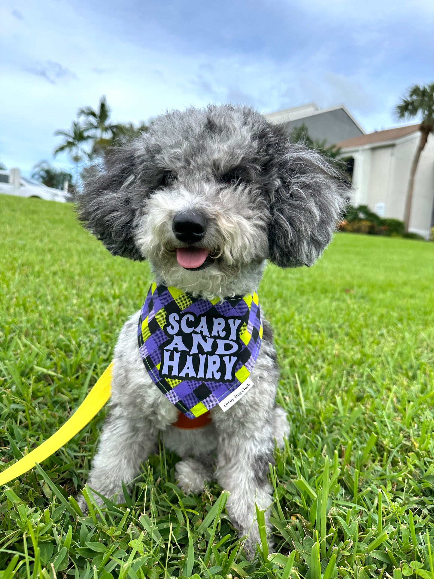Scary and Hairy Purple Bandana