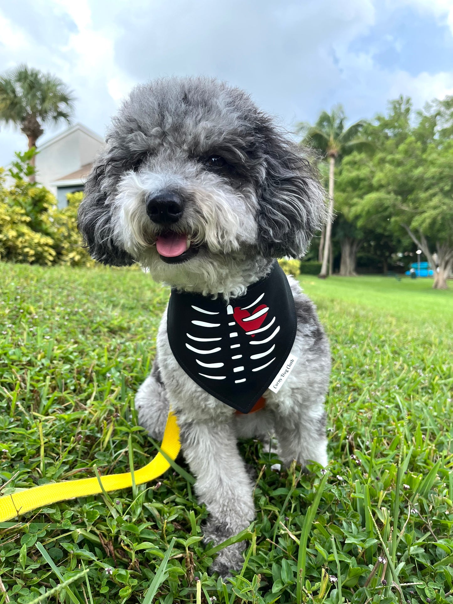 X-Ray Vision Black Bandana