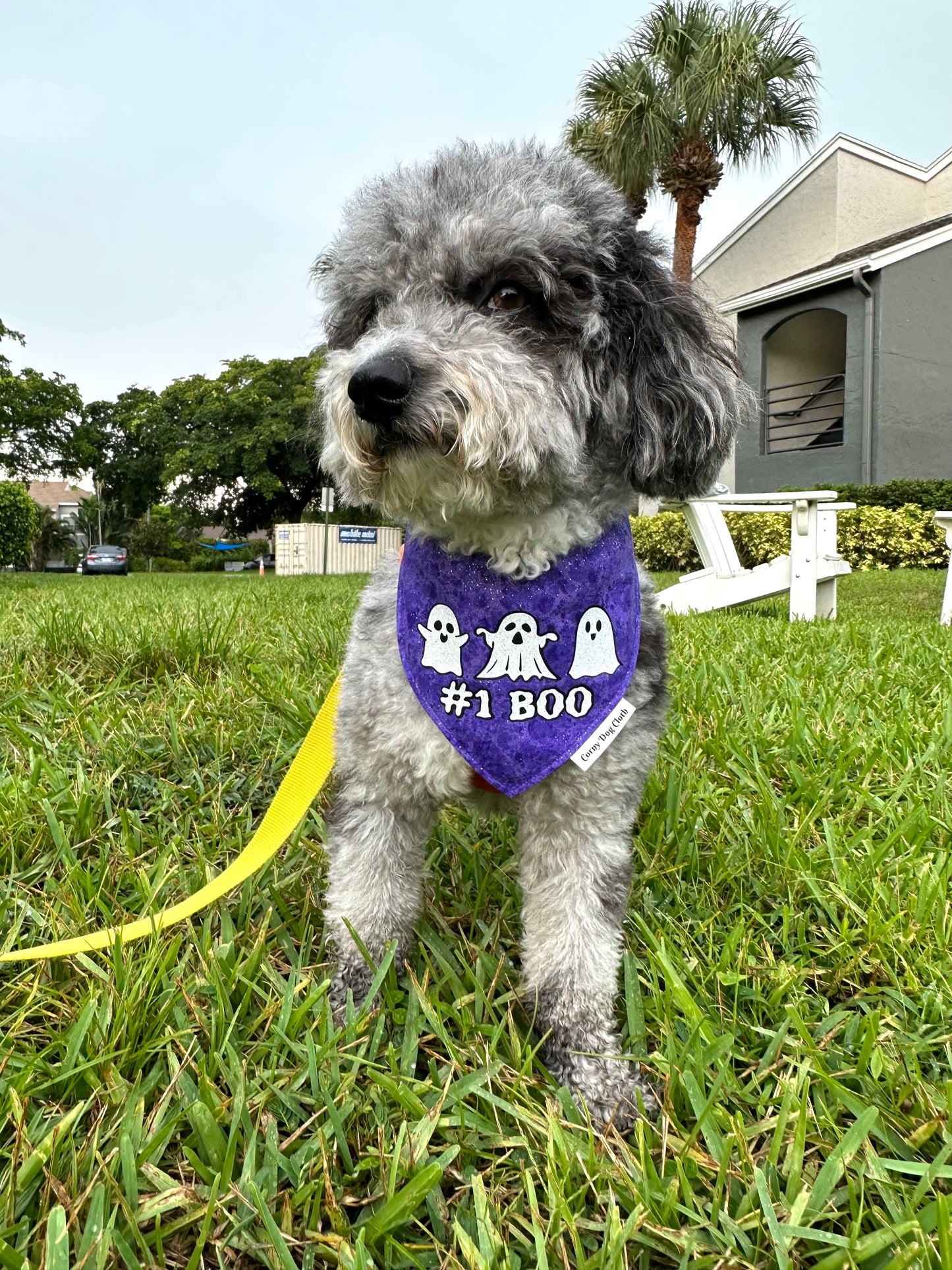 #1 Boo Shimmer Glitter Bandana
