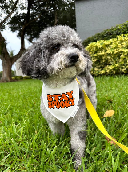 Stay Spooky White Bandana