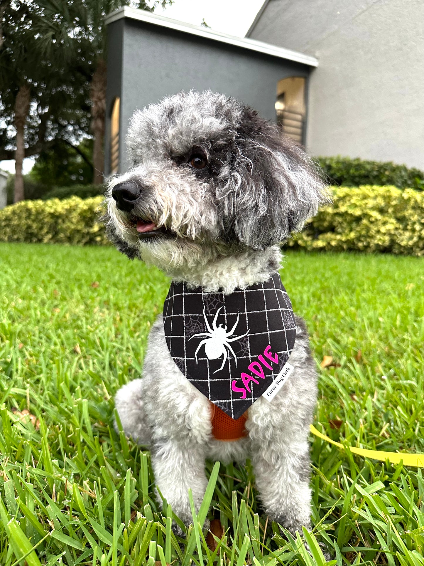 Creepy Crawler Personalized Bandana