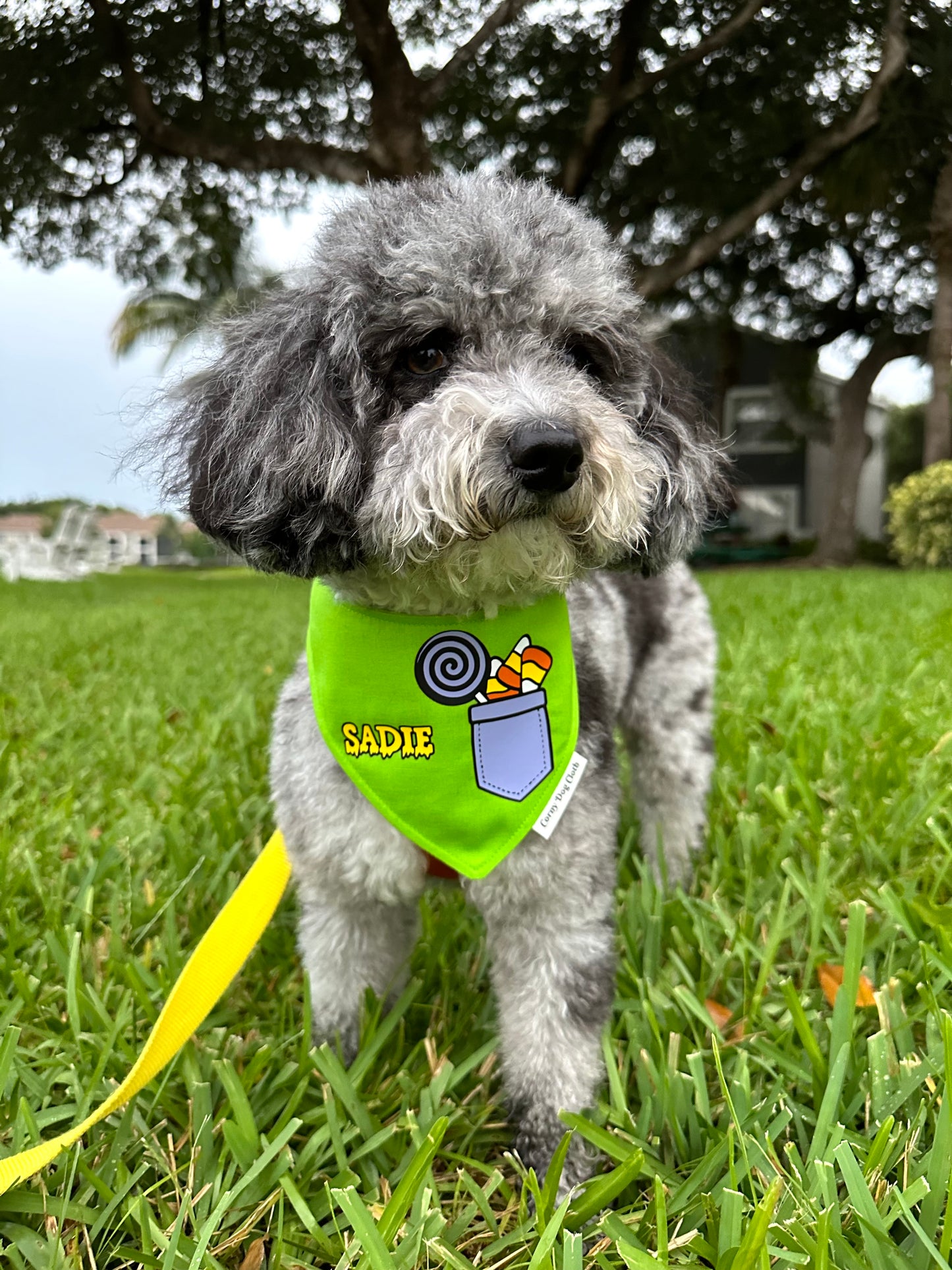 Pup Pocket Candy Personalized Green Bandana