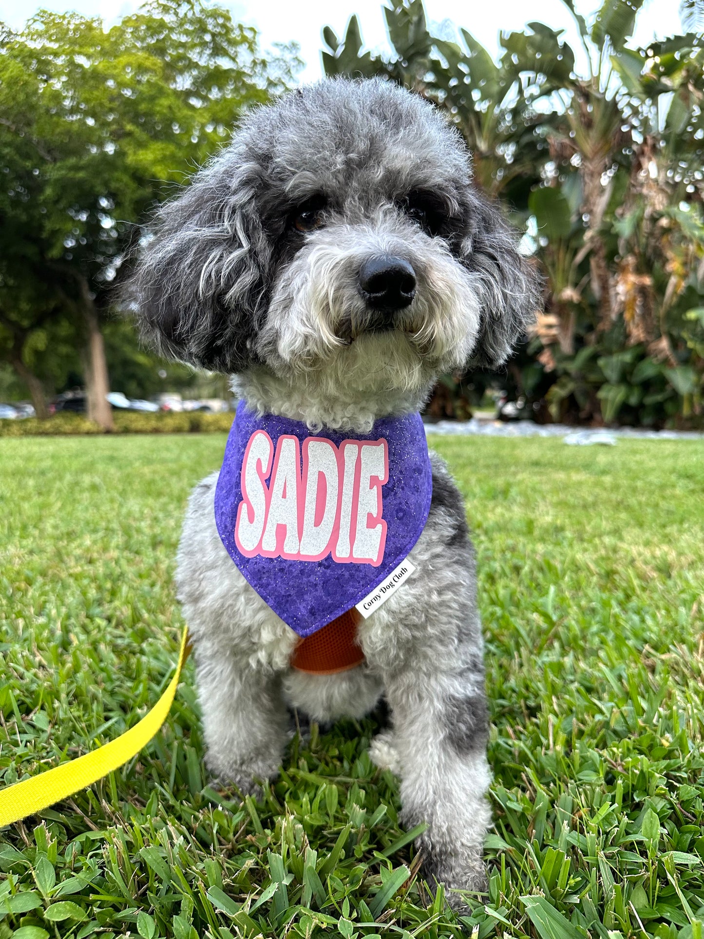 Shimmer in Style Custom Bandana