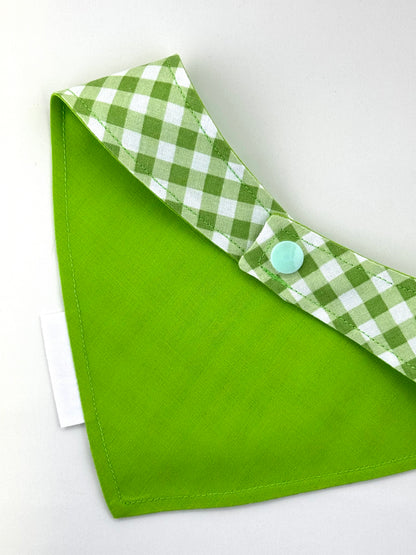 Squirrel Enthusiast Green Plaid Bandana