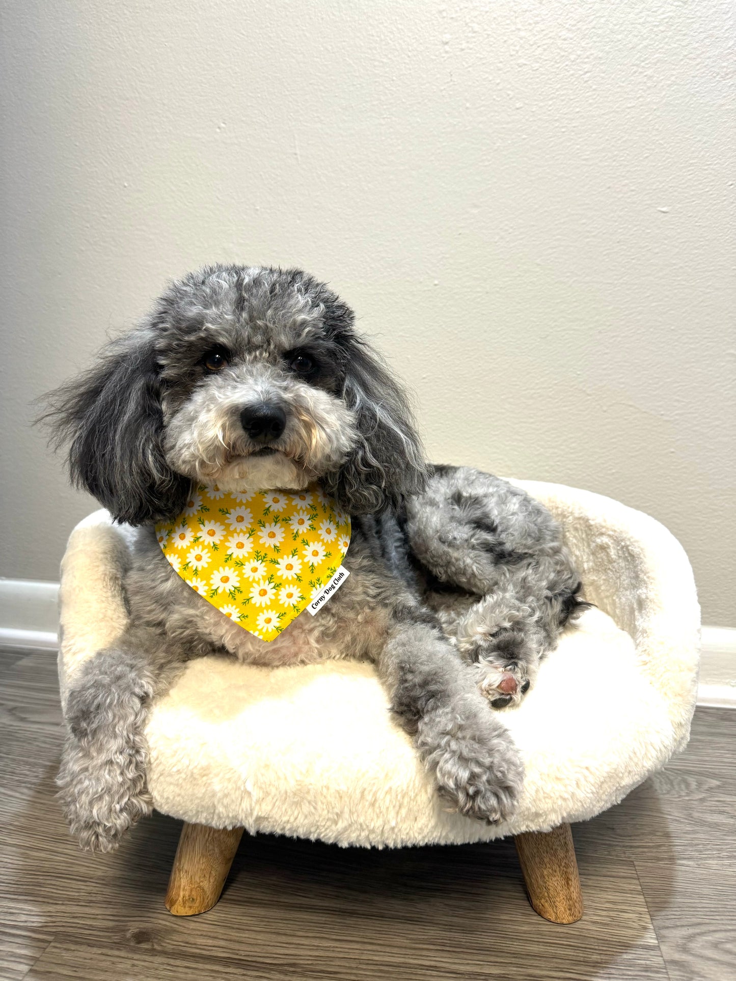 Daisy Dog Custom Bandana