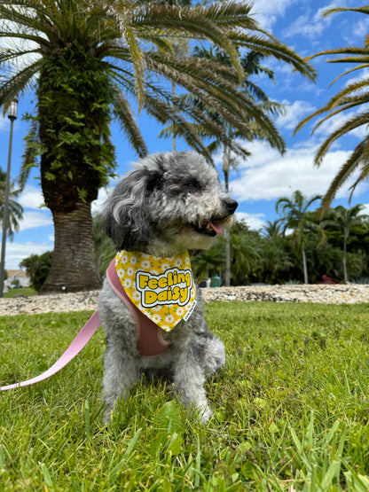 Feeling Daisy Yellow Bandana