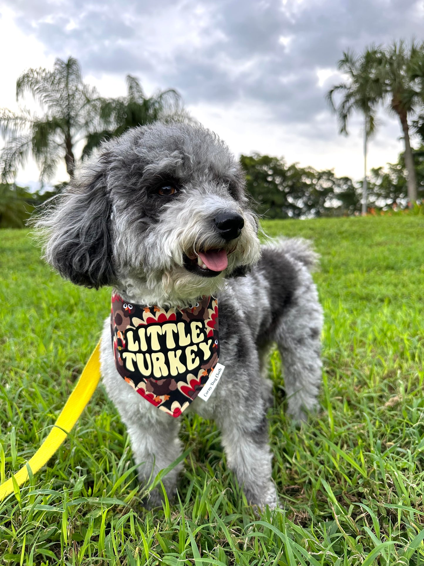 Little Turkey Bandana