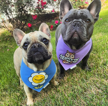 Squirrel Enthusiast Lilac Bandana