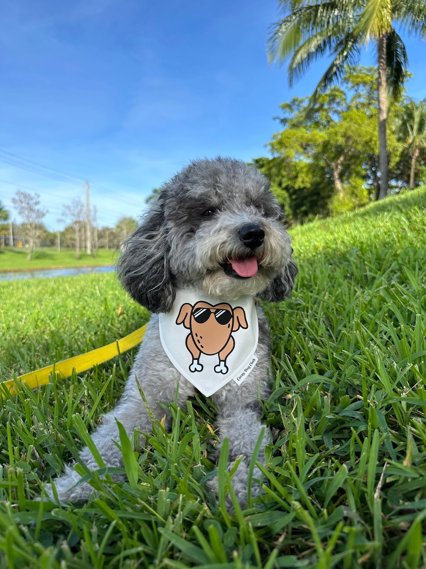 Cool Turkey White Bandana