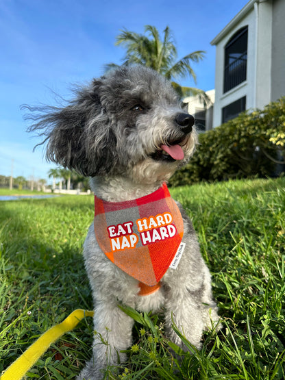 Eat Hard Nap Hard Flannel Bandana