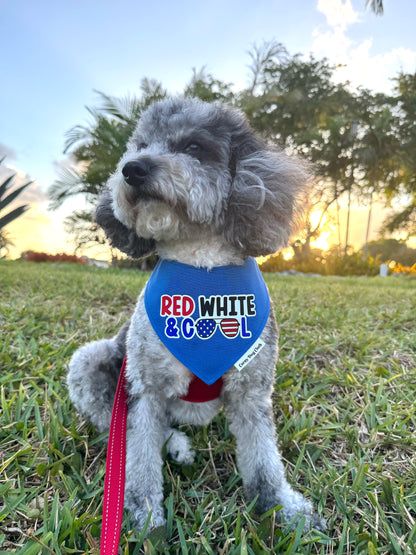 Red, White and Cool Blue Bandana