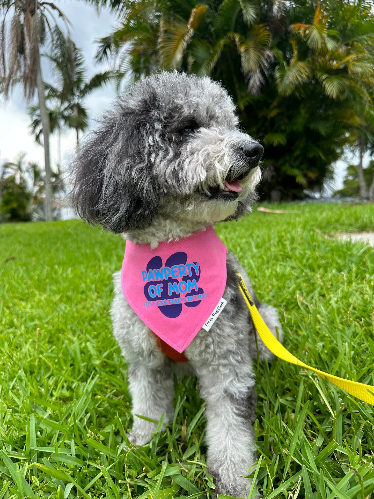 Pawperty of Mom Pink Bandana