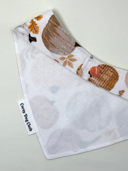 Lil' Pumpkin Bandana