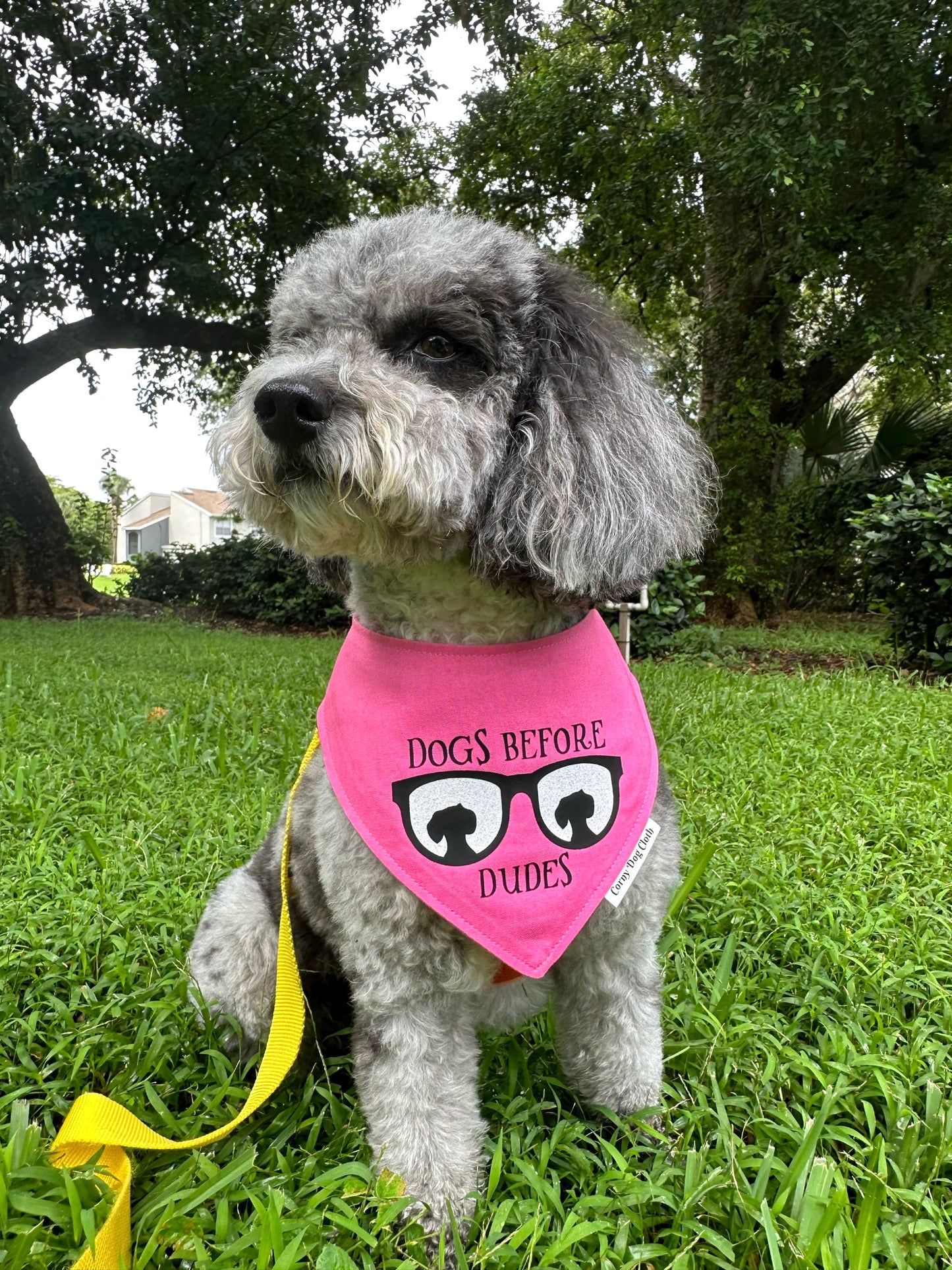 Dogs Before Dudes Pink Bandana