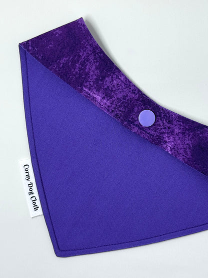 Too Cute to Spook Purple Bandana