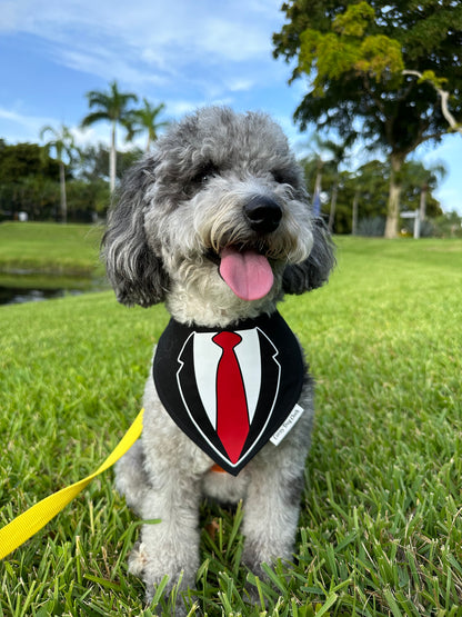 Business Attire Red Tie Black Bandana